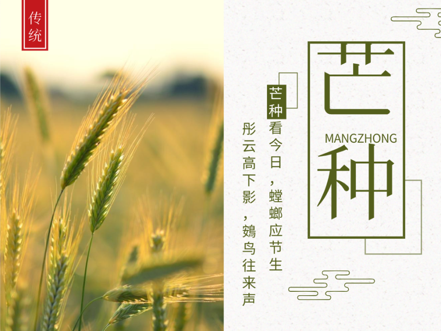 今日芒種，忙有所獲，不負(fù)耕耘！