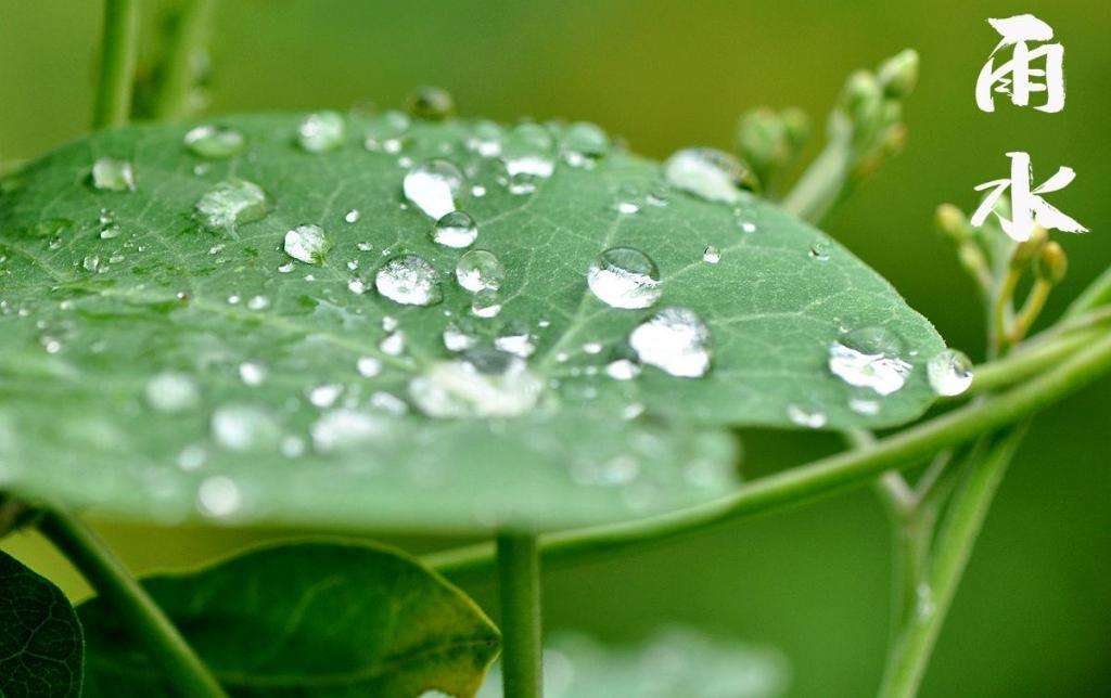 雨水潤萬物，兼顧沙與泥！
